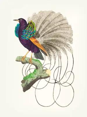 Dhananjaya shrestha artwork 1